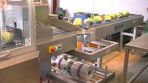 VR 7 without Shrink.mpg