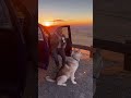 Trucker and Dog Watch Desert Sunset