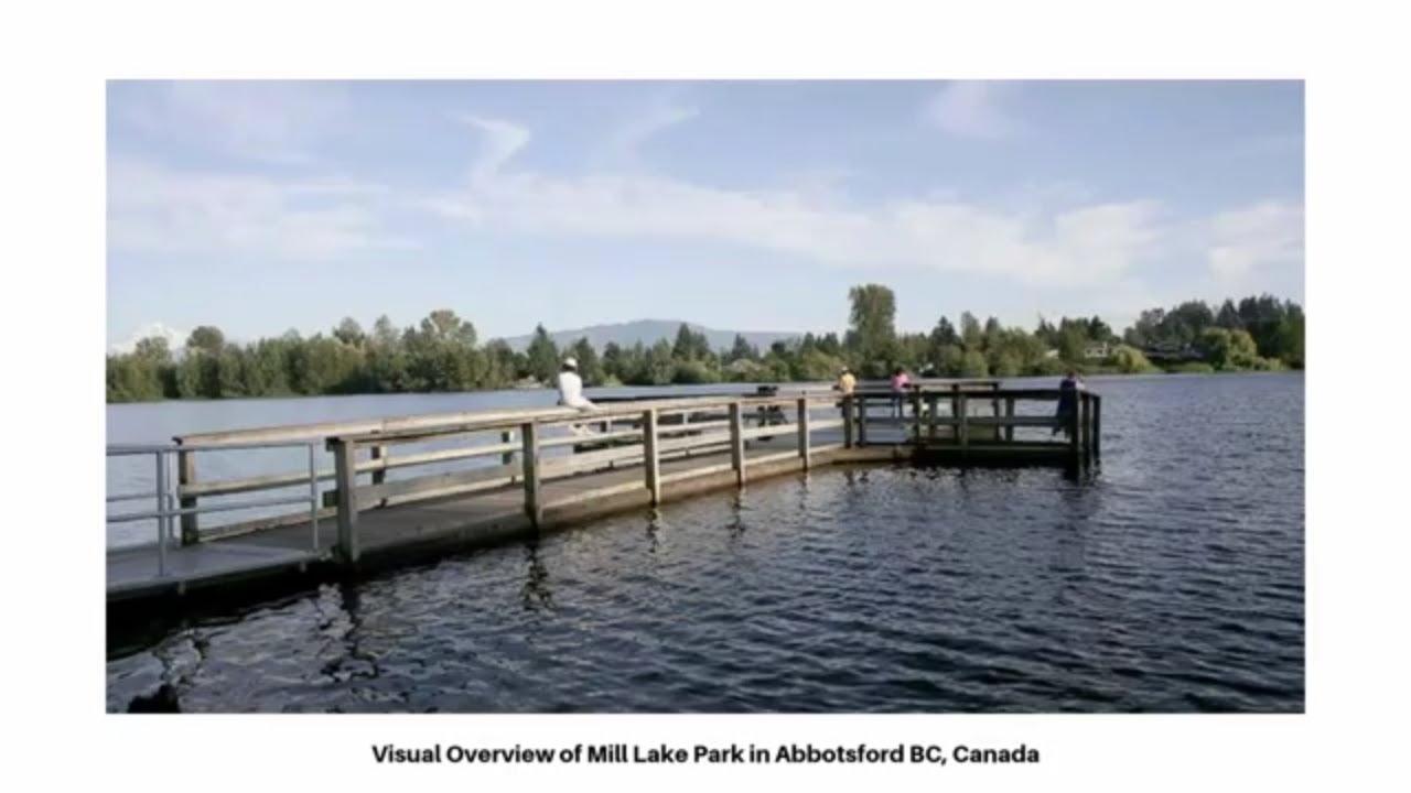 Visual Overview of Mill Lake Park