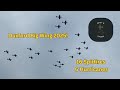 15 Spitfires and 6 Hurricanes!! - Duxford Big Wing 2025!