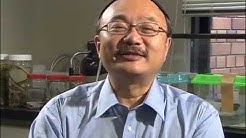 自然科学観察コンクール シゼコン Youtube