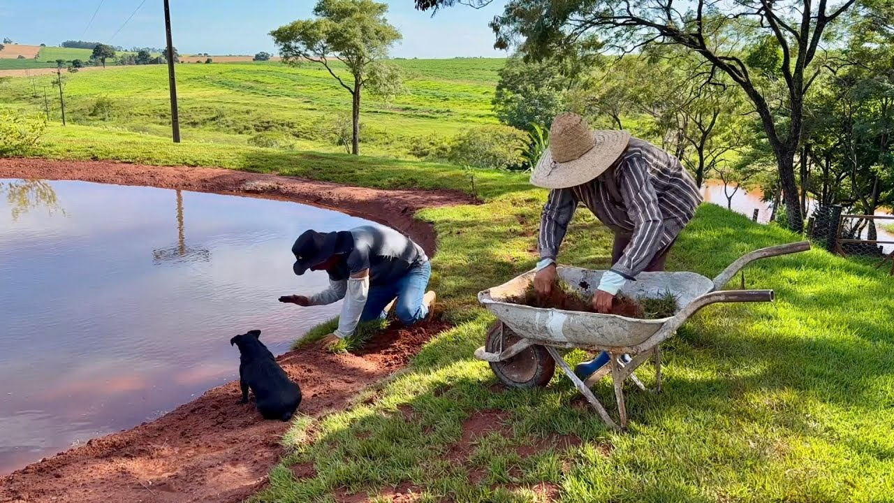 Hoje resolvemos dar um trato na represa # e colocamos gramas em volta…