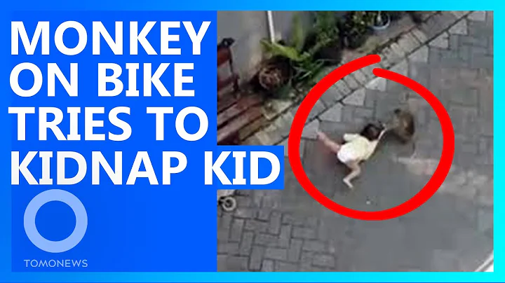Monkey on Scooter Tries to Kidnap Kid
