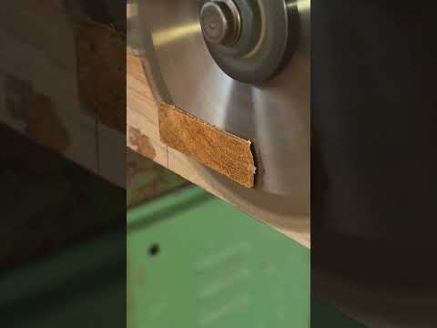 Don't Just Staple, Angle It! #woodworking #woodrepair #diyhacks #sorts