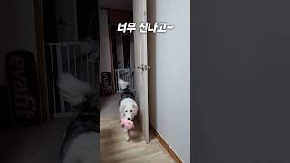 너무 신나버린 아이 ㅋㅋㅋ