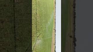 #farming Drone shot #water