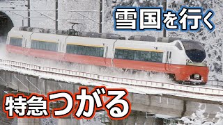 特急つがる号 雪国を行く、JR東日本 交流特急形電車 E751系