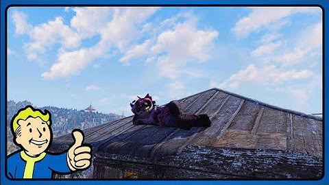 Fallout 76 Daily Challenge Guide for August 23, 2024.