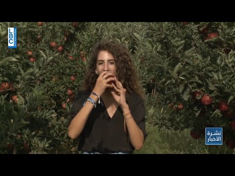   موسم التفاح على الابواب فهل لبنان مستعد للتصدير ودعم المزارع
