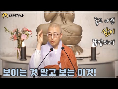 [59] 좋고 나쁜 모든 삶이 똑같다, 보이는 것 말고 보는 이것!