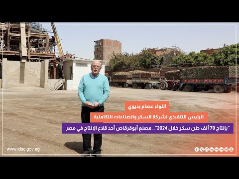 بإنتاج 70 ألف طن سكر خلال 2024 مصنع أبوقرقاص أحد قلاع الإنتاج في مصر
