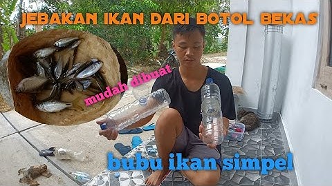 Jebakan Ikan Sederhana Dari Botol Bekas || Tutorial membuat jebakan udang dan ikan kecil : bubu ikan