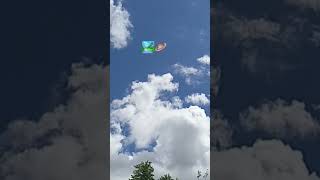 obuna boling jigar🫴🫠🙂‍↕️#like bosamiz❤️#rekchiqaramiz💥 #youtubeshorts#ozbek#viralvideo #shorts#viral