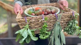 What Will Fall’s Harvest Bring Us? | Preserving The Herb Garden