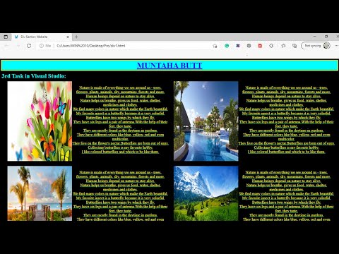 Div Section Website for Beginners using HTML & CSS Tutorial || SKY HIGH CODING