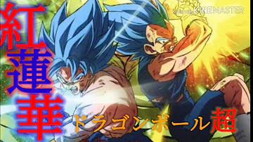 紅蓮華 ドラゴンボール 紅蓮華 ドラゴンボール