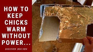 How to Make Hen Box for Chicks – How to Keep Warm Baby Chickens Without Power or Electricity by Eden Green Farm and Adventures 16,132 views 4 years ago 3 minutes, 1 second