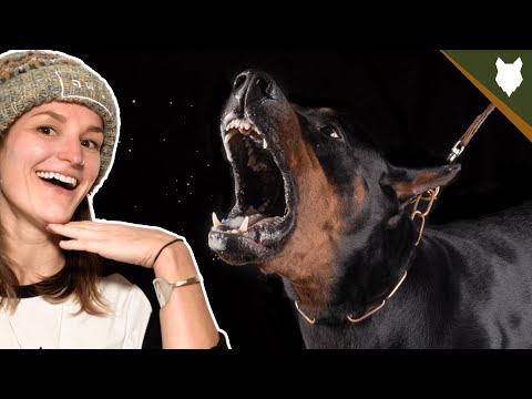 DO DOBERMAN BARK ALOT?