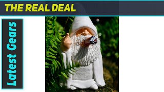Middle Finger Figurine Decorations: Funniest Outdoor Gnome for Your Garden!