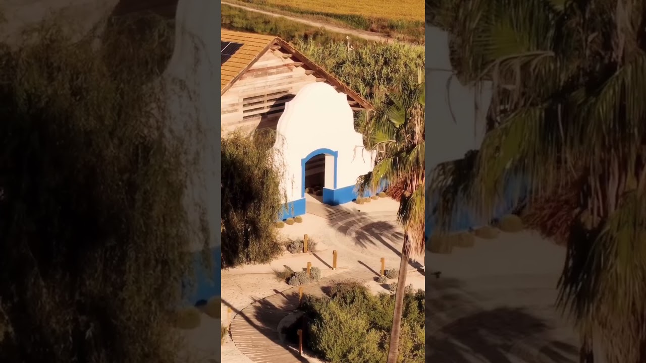 QUINTA DA COMPORTA - THE LAND OF ORYZA LAB 