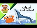 تعلم أصوات الحيوانات البحرية باللغة العربية        