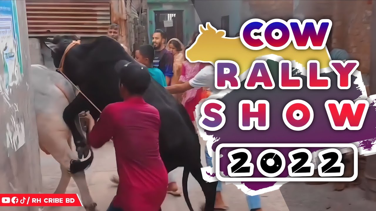 Cow Rally Show 2022 #rh_cribe_bd #rallyshow #bangladesh #chittagong ...