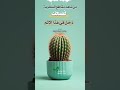 »  من شاهد مقاطع السخرية فضحك  دخل في هذا الإثم 🌱»  الشيخ عبد الرزاق البدر حفظه الله