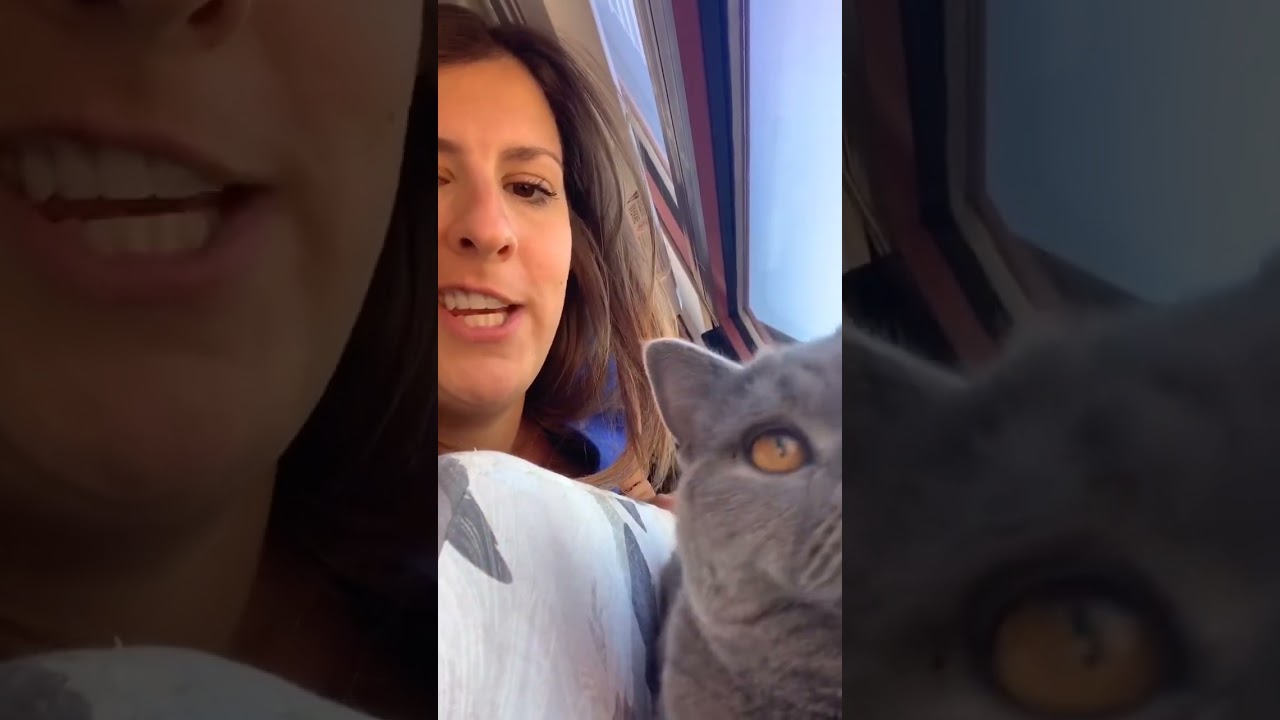 Never Buy or Lease Without Checking Property Taxes First Never Buy or Lease Without Checking Property Taxes First