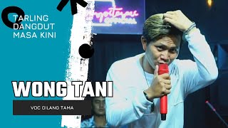 WONG TANI Voc GILANG TAMA | LIVE STUDIO LANGIT MUSIC PANTURA - TARLING DANGDUT MASA KINI
