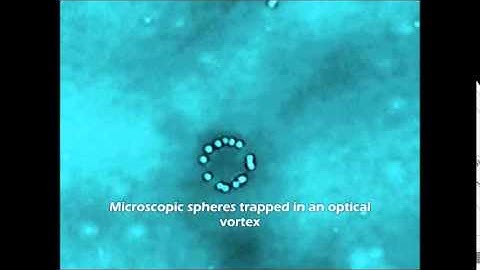 Microspheres in an Optical Vortex with Holographic Optical Tweezers