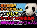 【東京新聞杯2026 きさらぎ賞2026 勝ち爆穴馬共通点🐼】キャリーオーバーのWIN5でも使える🔥これを狙うだけでいい！！！たった1つの好走条件がわかります🐼