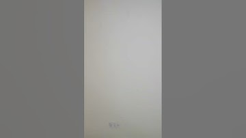 تلاوة من سورة سبأ ٣١-٣٣