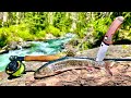 REMOTE Mountain TROUT FISHING!!! 4-Day Catch, Cook, Camp (Ep.1)
