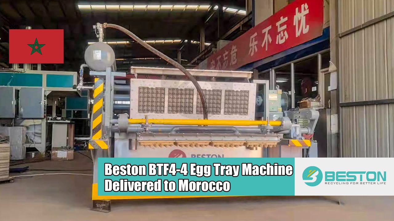 BTF4-4 Egg Tray Machine to Morocco - Beston Group