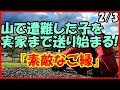 【感動する話 出会い】山で遭難した子を実家まで送り始まる！『素敵なご縁』２／３【馴れ初め いい話】