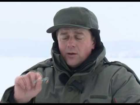 Новинка зимняя шина континенталь