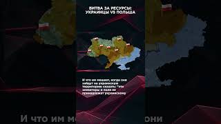 Битва За Ресурсы: Украинцы Vs Польша #Взглядпанченко #Панченко