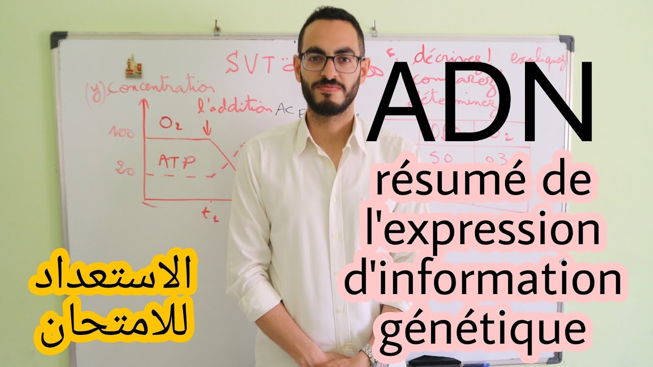 Résumé de l'expression d'information génétique.