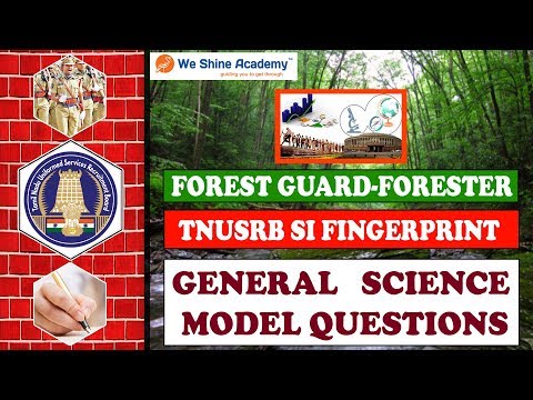 TNFUSRC - Forester