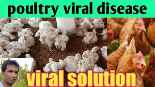 poultry viral disease,viral ko kis    prakar roke