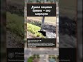 Экскаватор поднял крокодила вместо грунта 😱