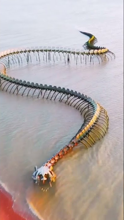 📍 Serpent D'Ocean , France🇫🇷