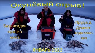 Окуневый отрыв! Мотыль или безмотыль? Январь 2022