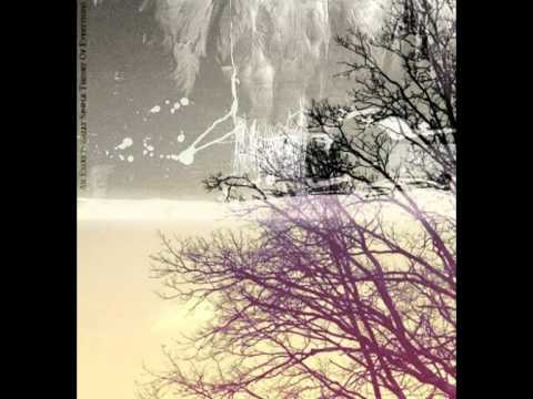 Aesthesys - There Is Hope, But Not For Us