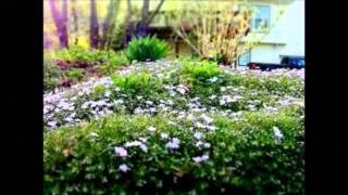 Requiem For A Princess Here We Go     Peter White