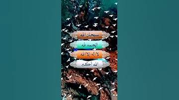 القران الكريم #الرحمن الرحيم #المصحف #duet #العظماء #لايك #اكسبلو #البرزخ