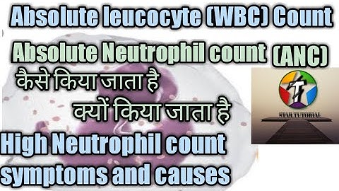 High white blood cell count and high absolute neutrophils