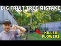 The Problem With GRAFTED FRUIT TREES: Don't Make This BIG Mistake!