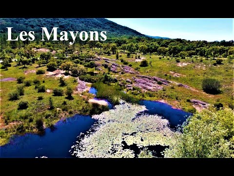 Les Mayons - Le Cannet des Maures - le Luc - Massif des Maures