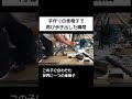 下半身不随の猫に車椅子をプレゼント